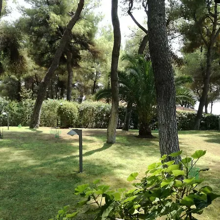 Theodora Sani Παραλία Σάνη